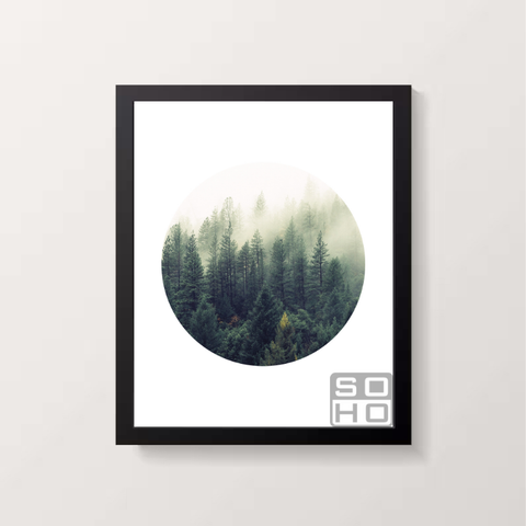 FOREST FOGG 2